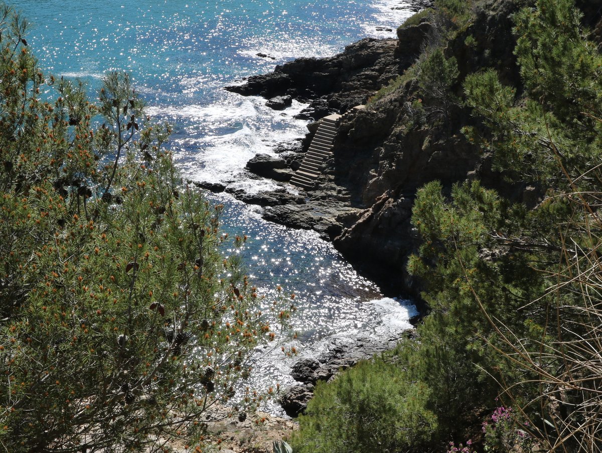 Sa Riera. Cala del Rei