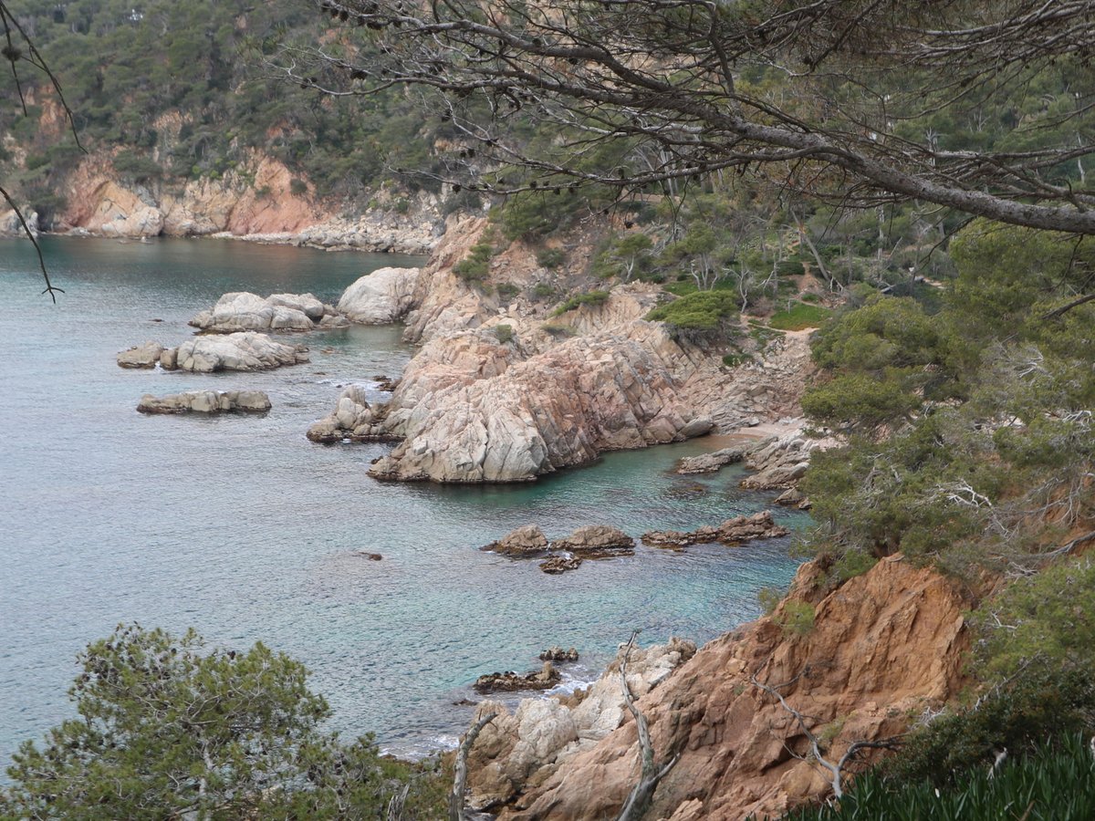 Palamós. Cala dels Canyers (Palamós)