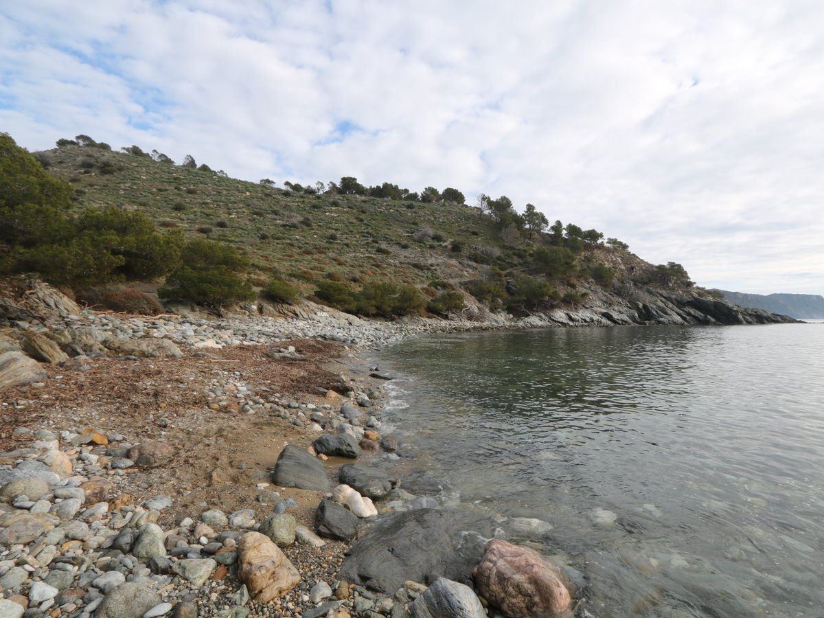 Roses. Cala Murtra