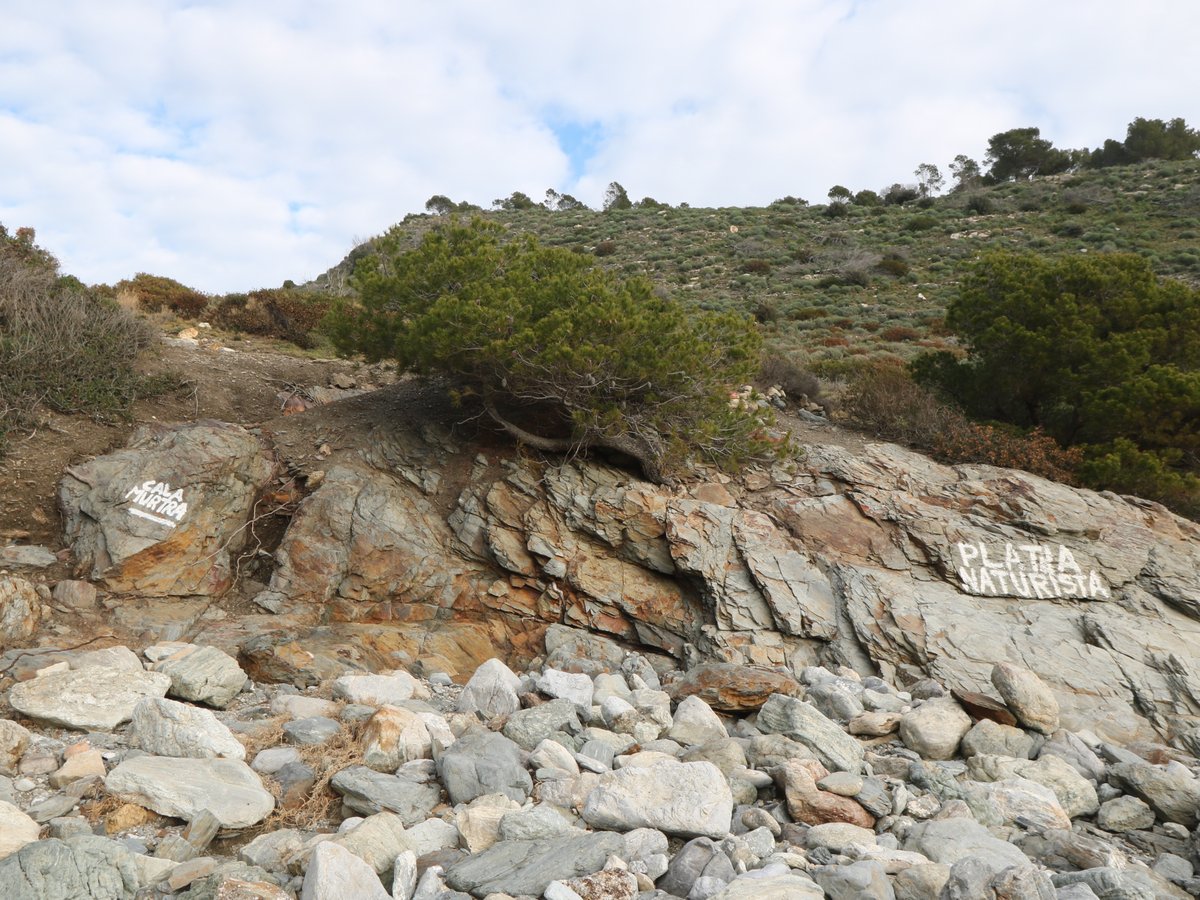Roses. Cala Murtra
