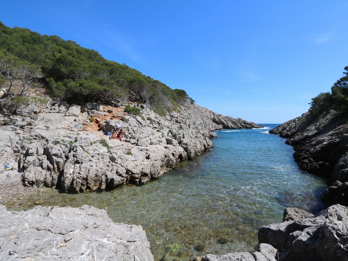 Pedrosa Cove (L'Estartit)