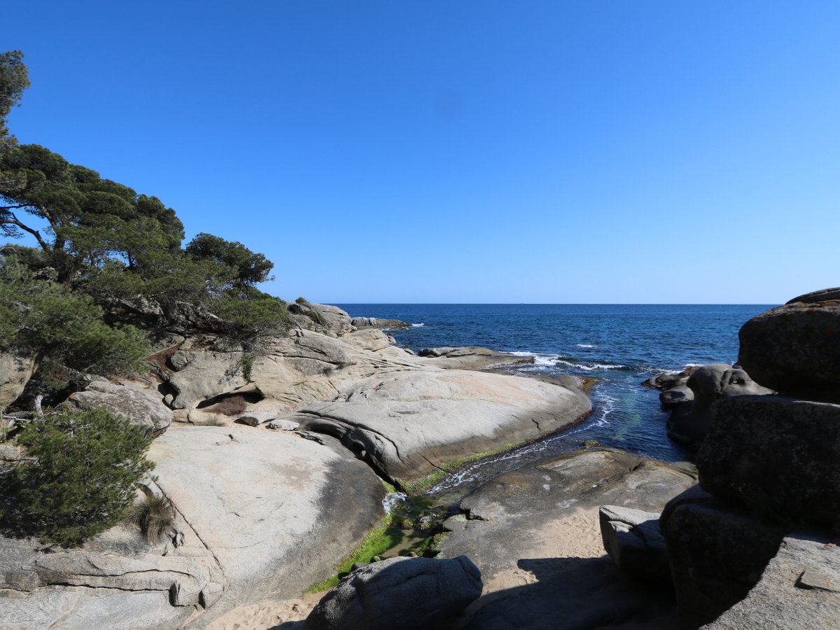 Sant Antoni de Calonge. Cove of Flat Rocks (Cala de Roques Planes)