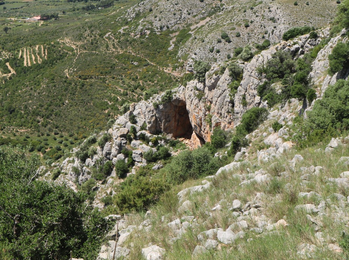 Cau del Duc Cave