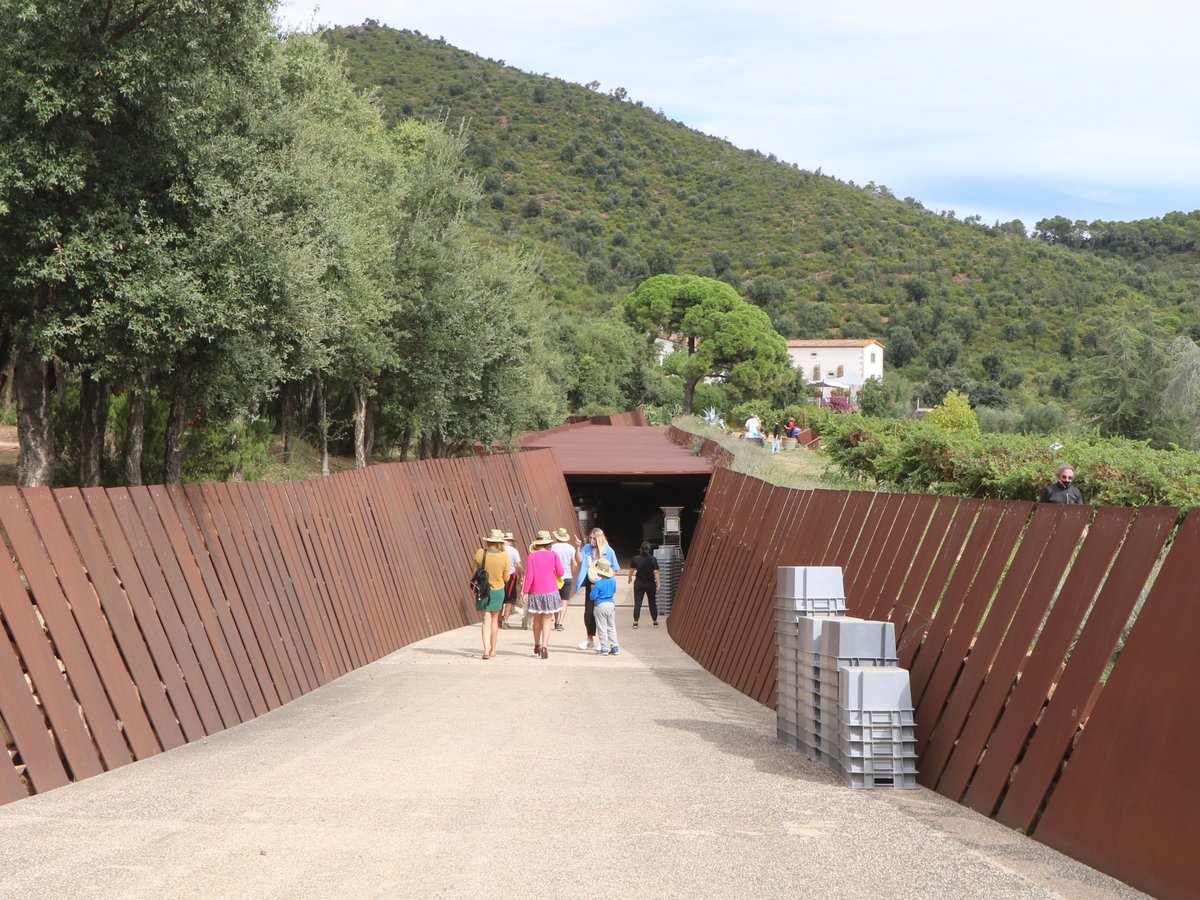 Palamós. Celler Bell-lloc