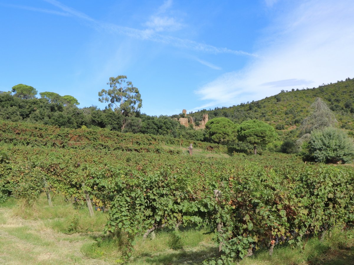 Palamós. Celler Bell-lloc