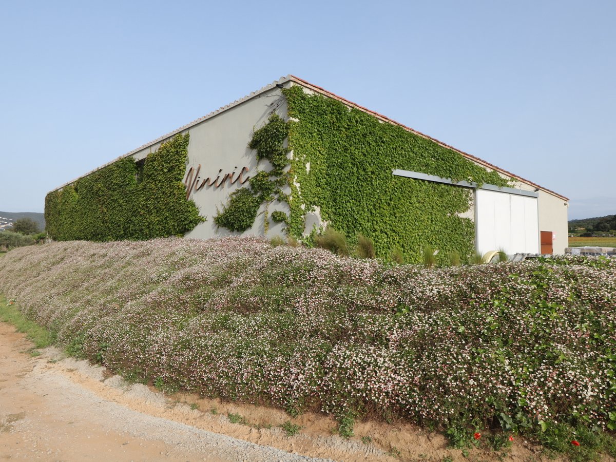 Calonge. Celler Viníric