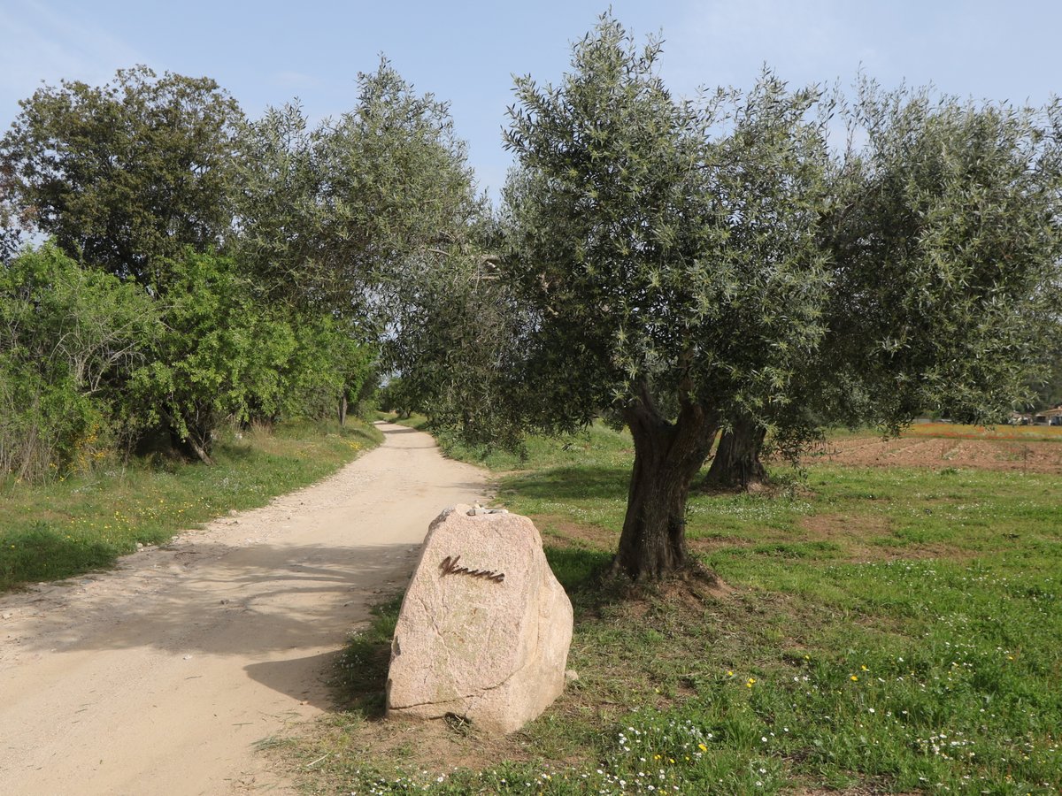 Calonge. Celler Viníric