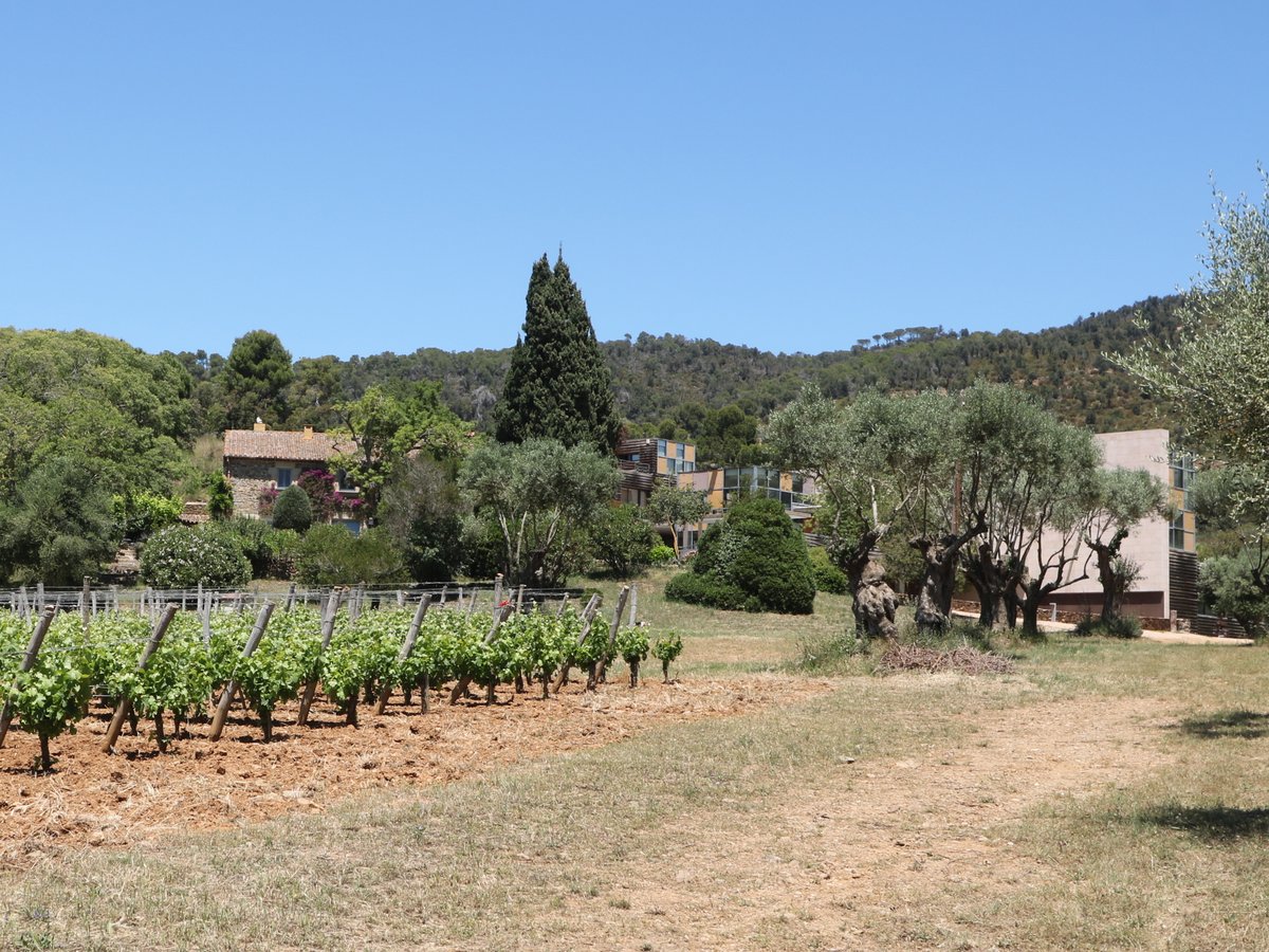 Calonge. Bodegas Clos d'Agon