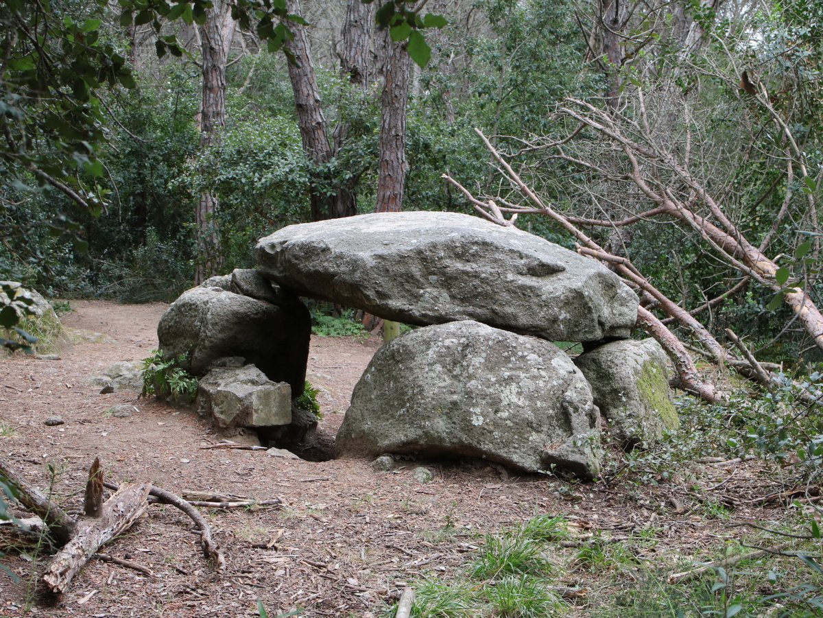 Palafrugell. The Dolmen of Can Mina dels Torrents