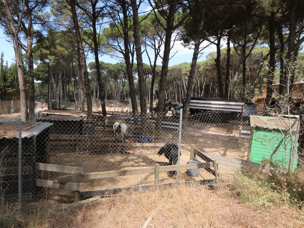 Horse Riding in Begur