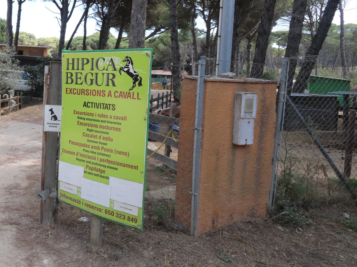 Horse Riding in Begur