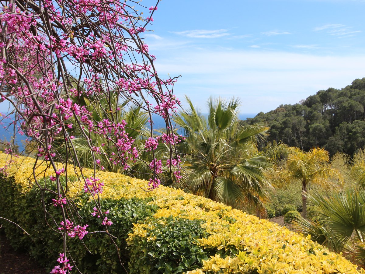 Calella de Palafrugell. Botanical Gardens of Cap Roig