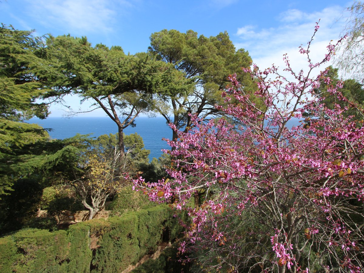 Calella de Palafrugell. Botanical Gardens of Cap Roig