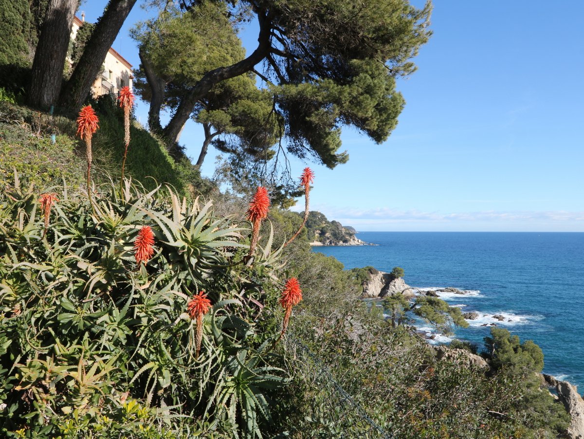 Lloret de Mar. Santa Clotilde Gardens