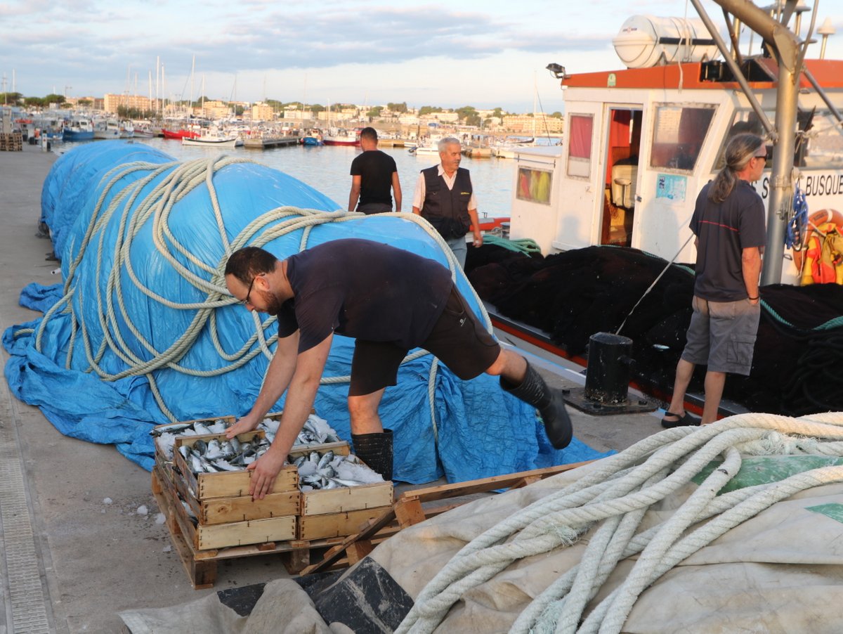 L'Escala. Fish Interpretation Centre MARAM