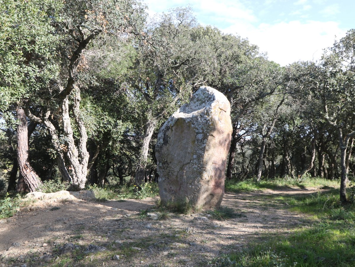 Calonge. The Menhir of Puig ses Forques