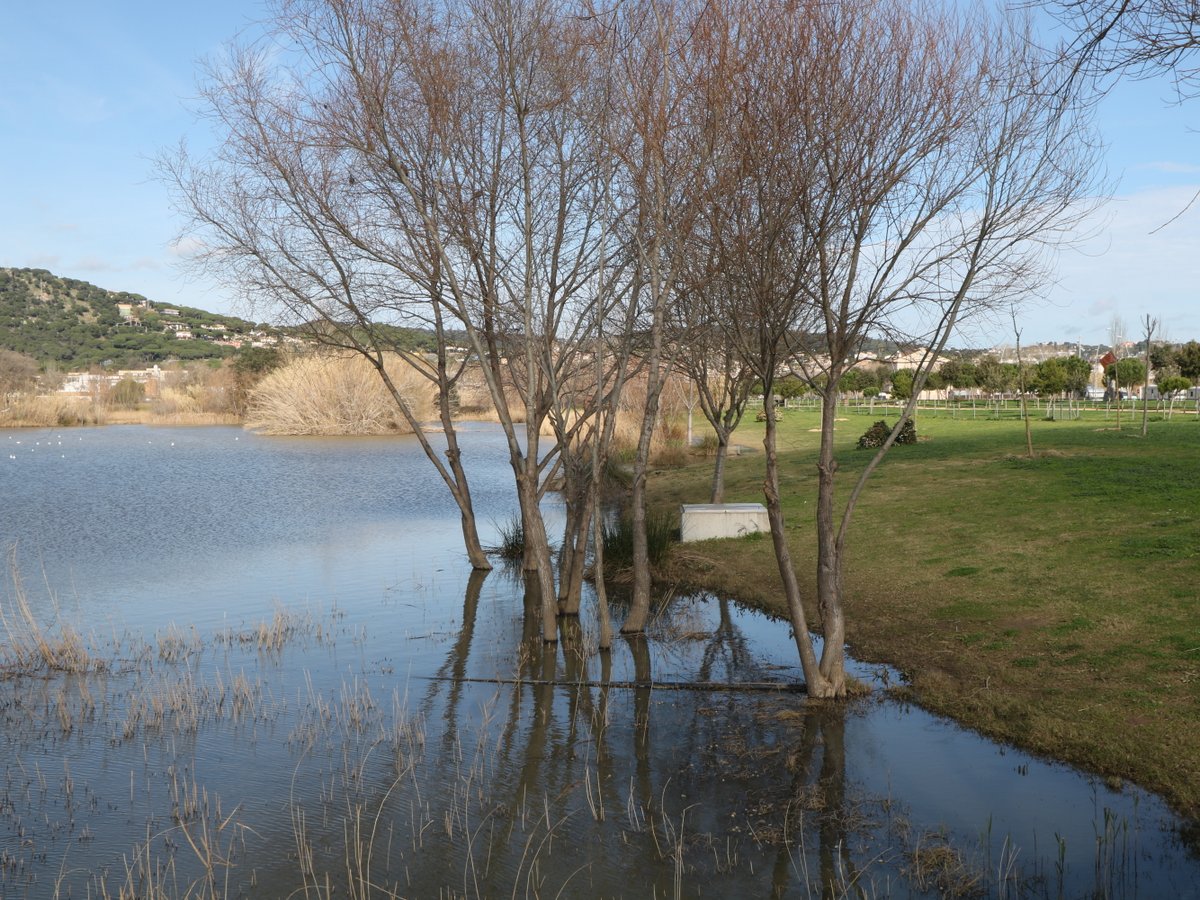 Platja d'Aro. Estanys Park