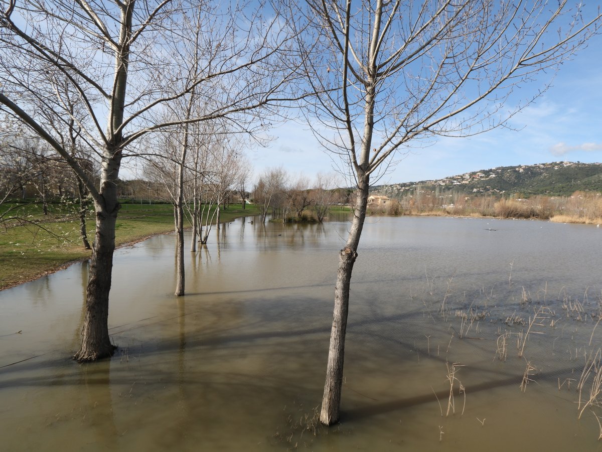 Platja d'Aro. Estanys Park