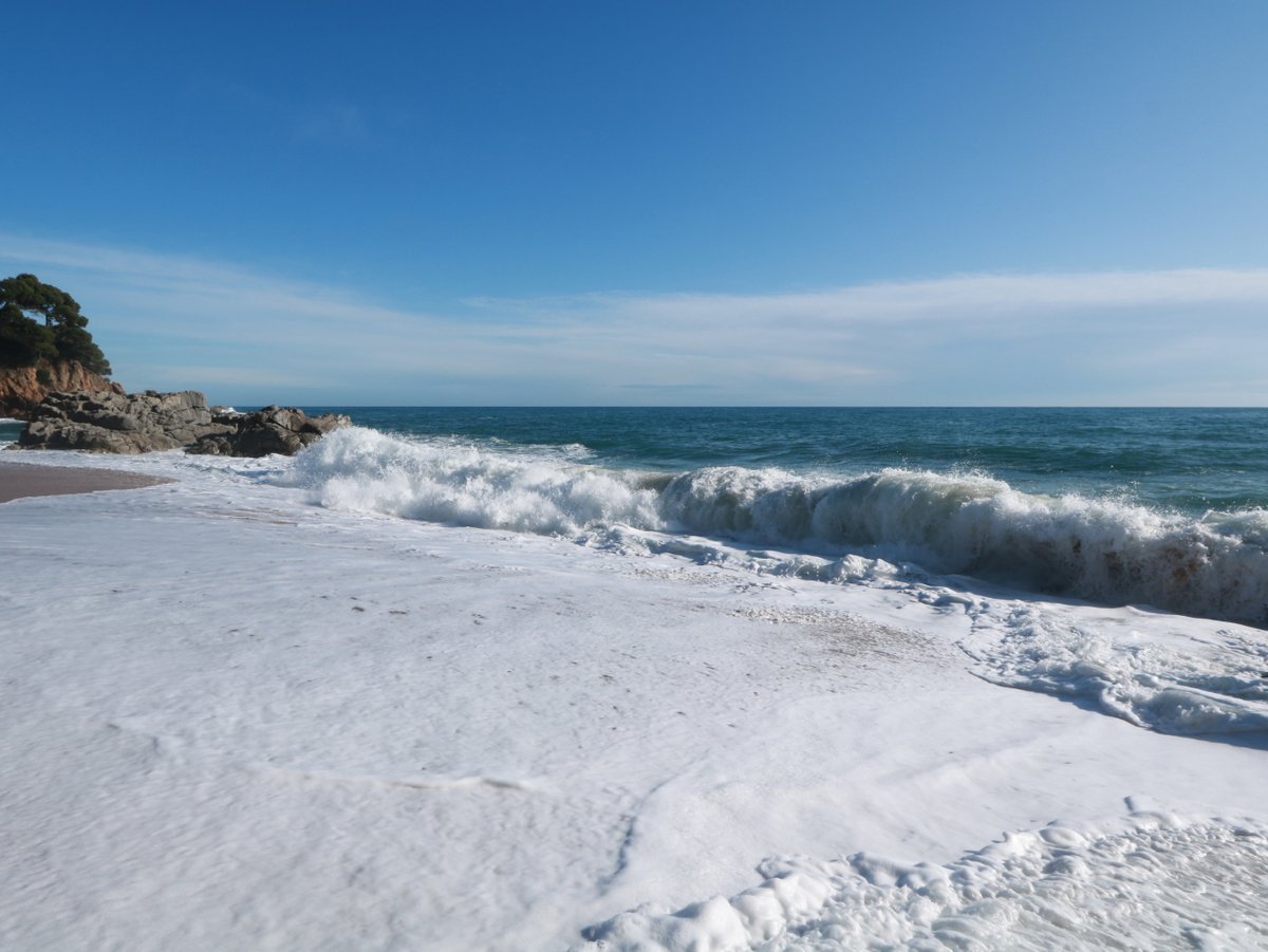 Sa Boadella Beach