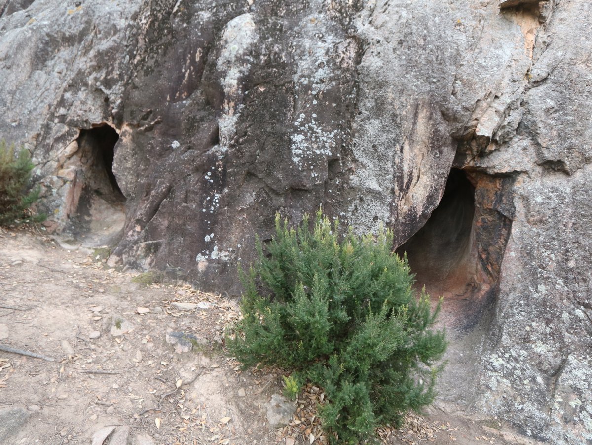 Aiguablava. The Caves of Ses Falugues