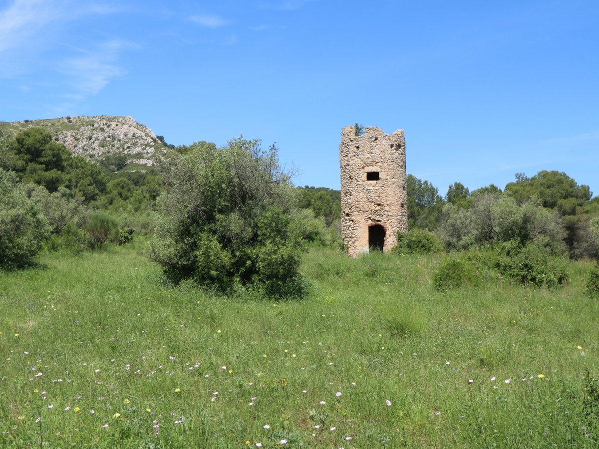 Torroella de Montgrí. Moscats Tower